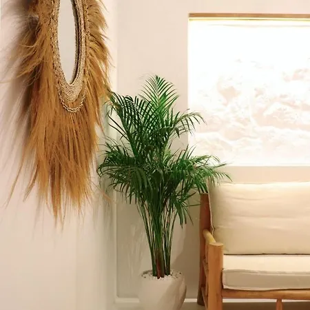 The Nine Graces - Kastraki With Private Swimming Pool Villa